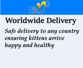 devon rex Worldwide deliwery